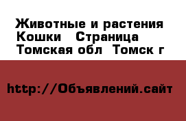 Животные и растения Кошки - Страница 10 . Томская обл.,Томск г.